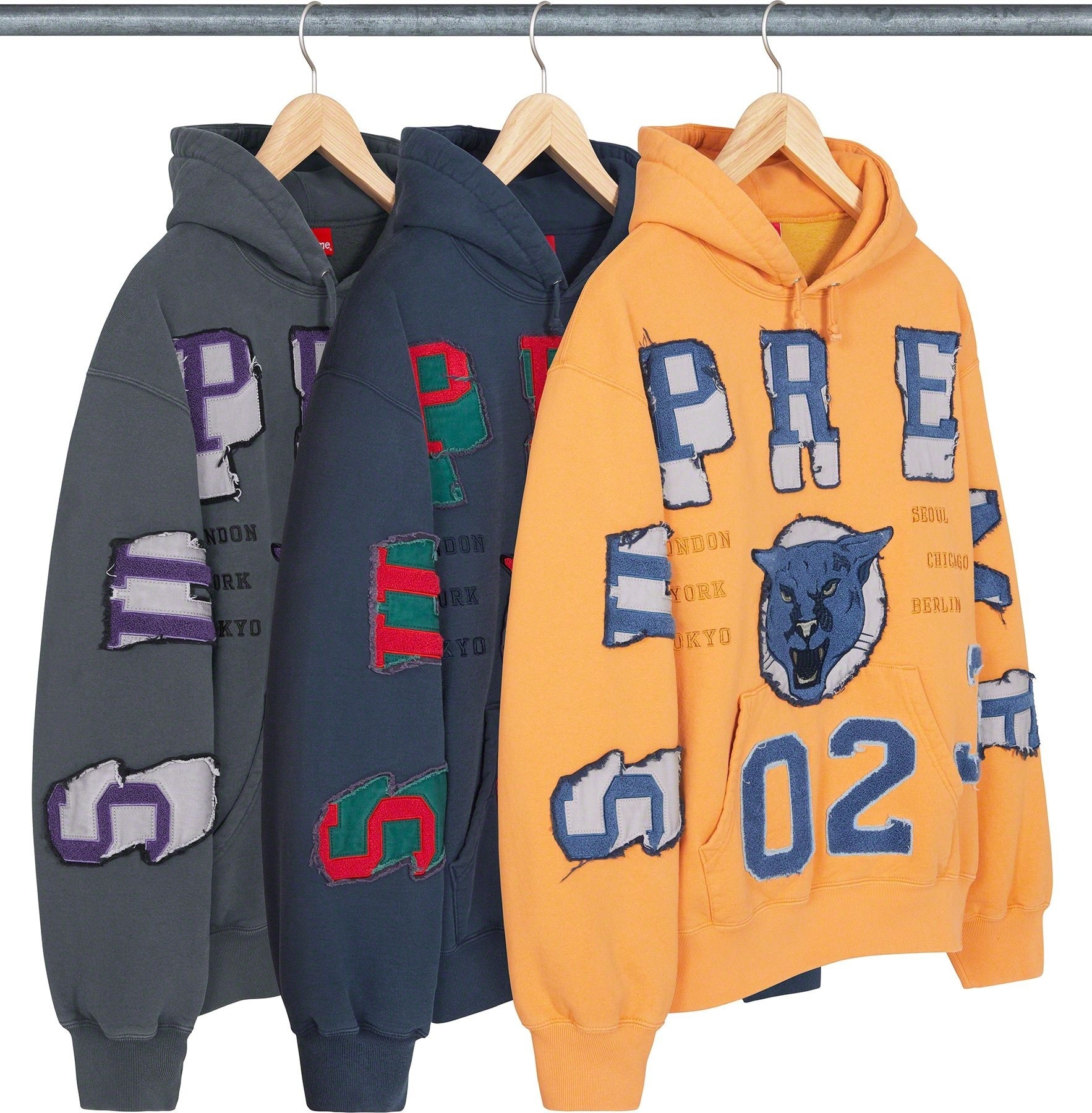 Washed Panther Hooded Sweatshirt